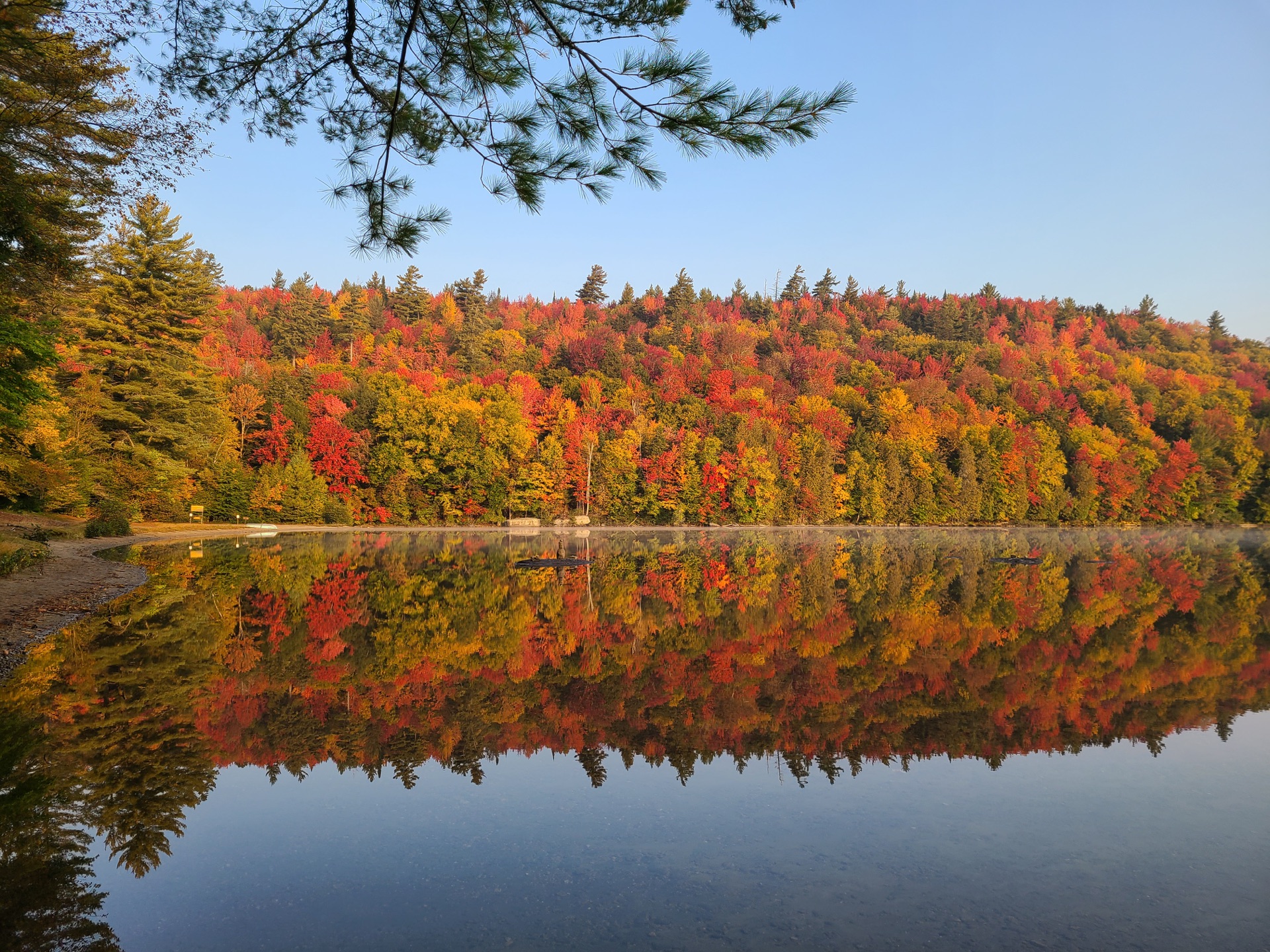 Fall foliage reflected in an Adirondack lake